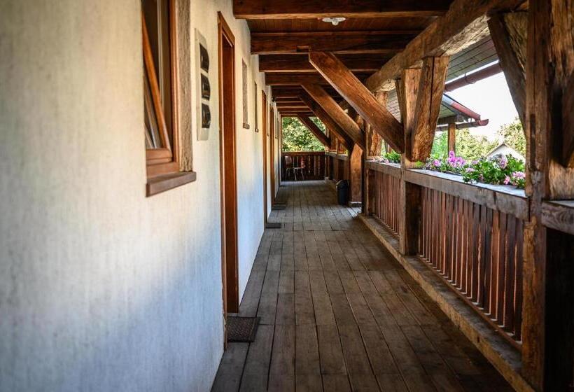 膳宿费 Penzion Tyra