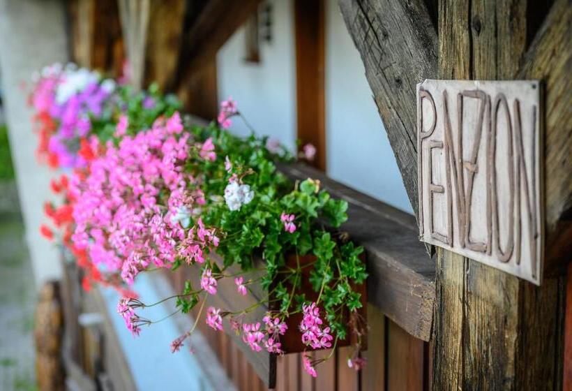 膳宿费 Penzion Tyra