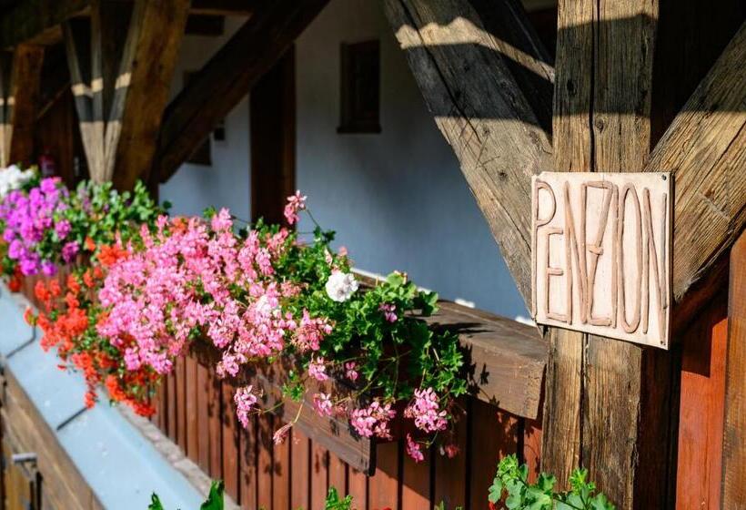 膳宿费 Penzion Tyra