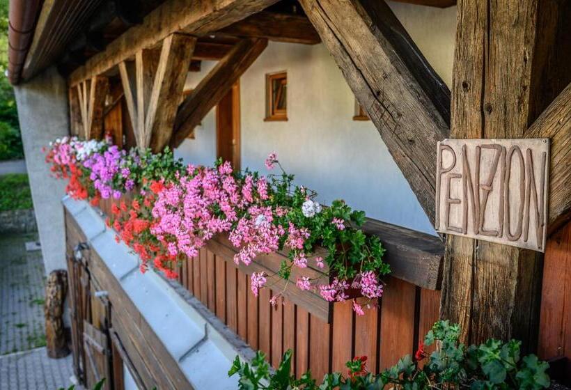 膳宿费 Penzion Tyra