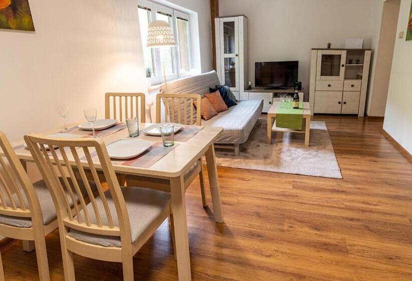 膳宿费 Penzion Tyra