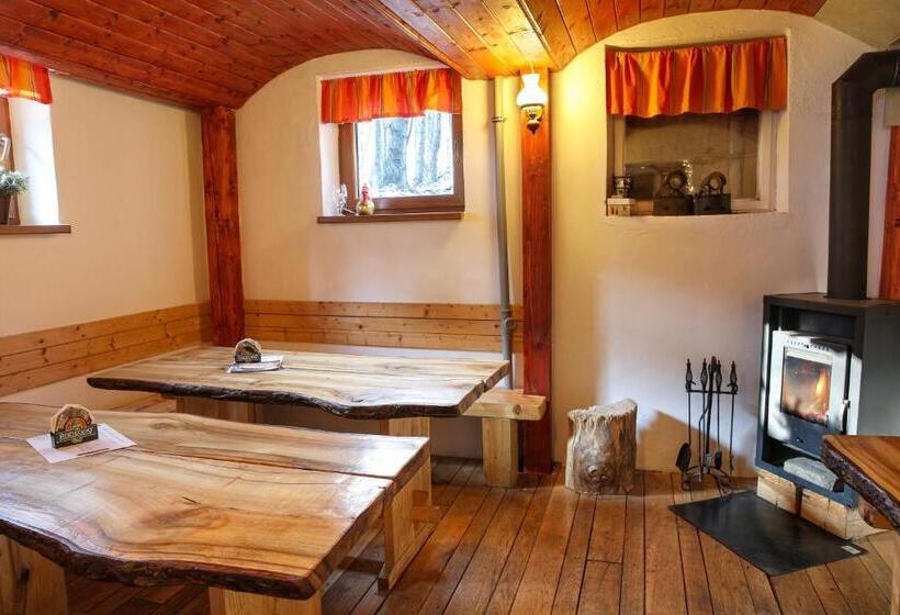 膳宿费 Penzion Tyra