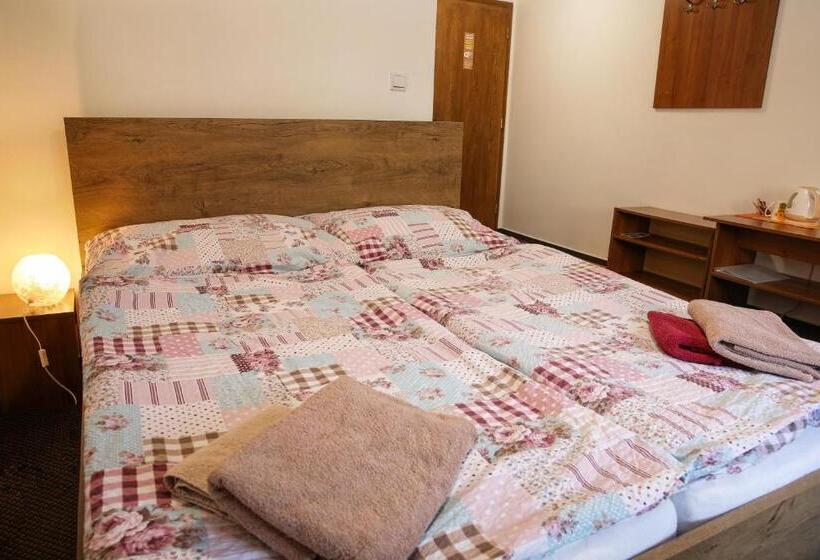 膳宿费 Penzion Tyra