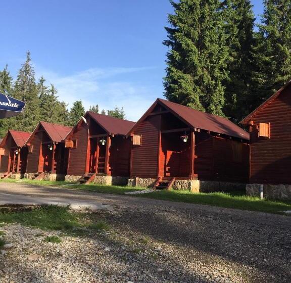 膳宿费 Popas Turistic Padis