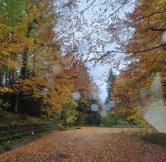 膳宿费 Popas Turistic Padis