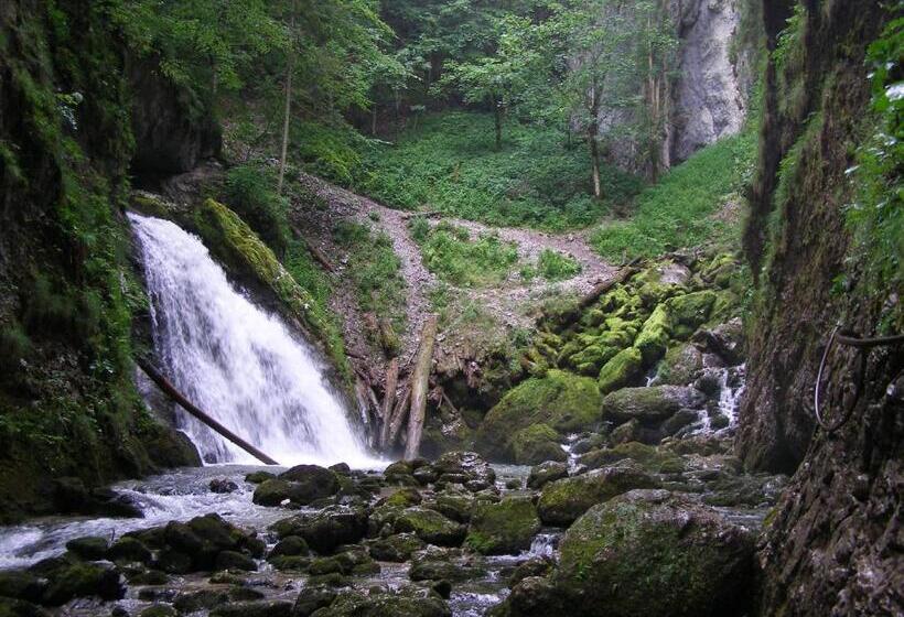 膳宿费 Popas Turistic Padis