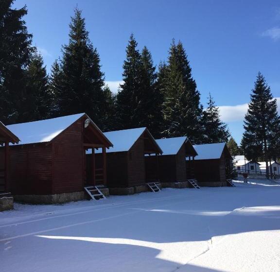 膳宿费 Popas Turistic Padis