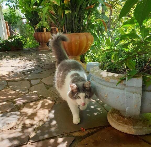 بنسيون Springfontein Guesthouse