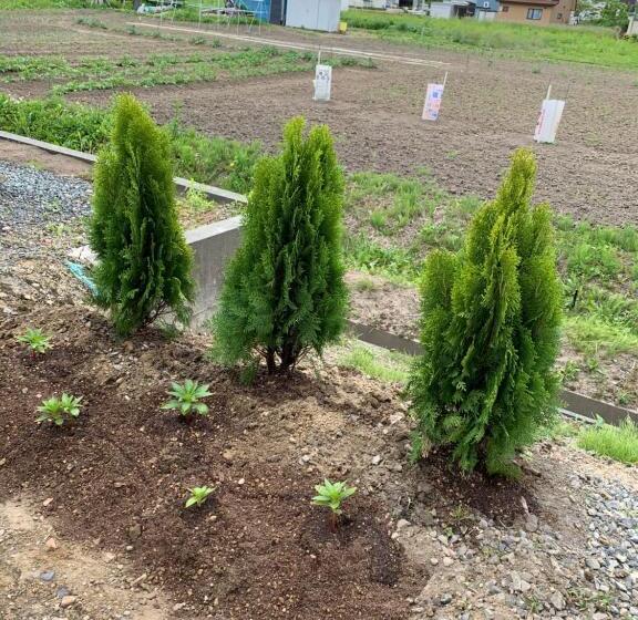 פנסיון Stay Sakura