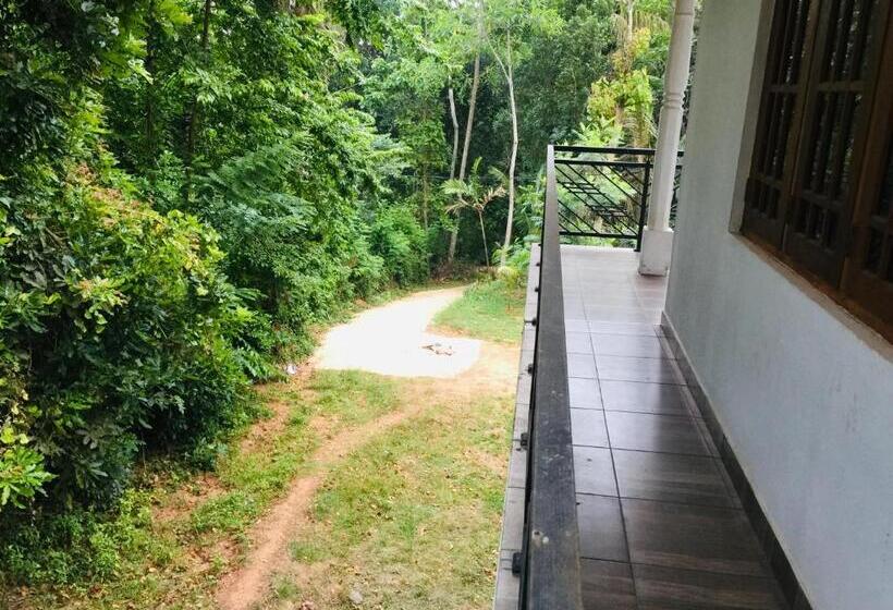 Пансион Summer Salt Hiriketiya