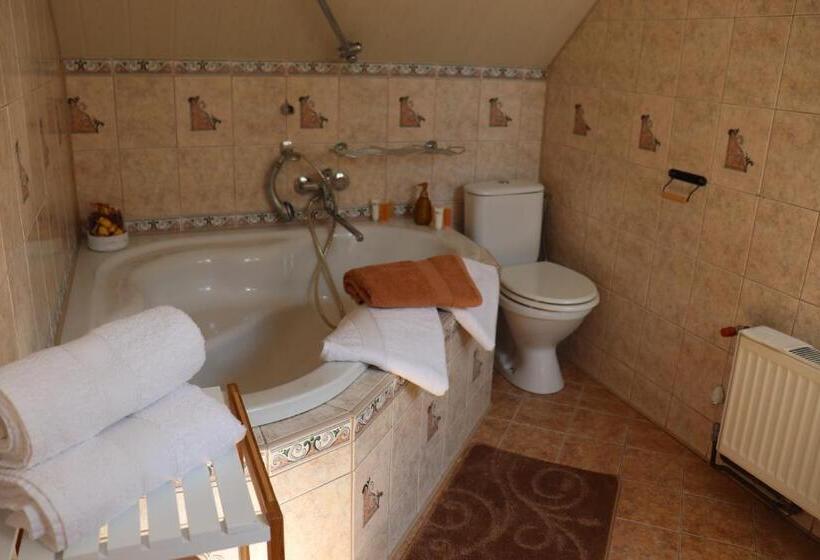 ペンション U Wewody Fridlantskeho