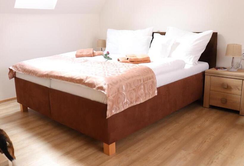 بنسيون U Wewody Fridlantskeho