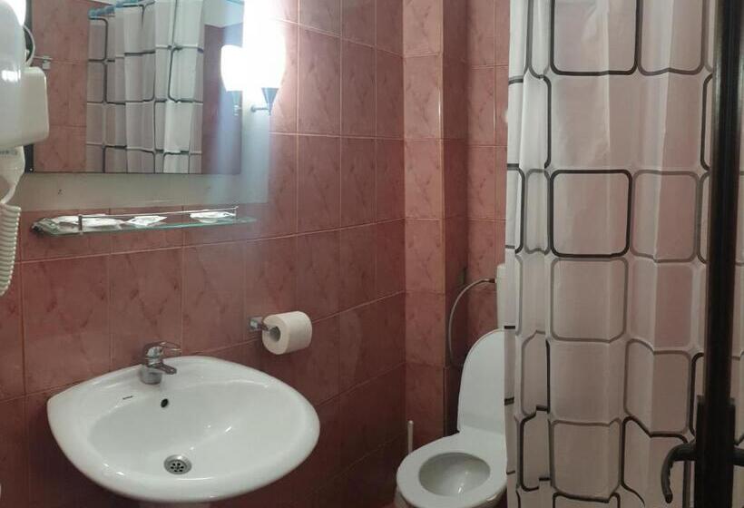 Пансион Valea Doamnei