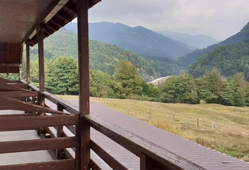 Пансион Valea Doamnei