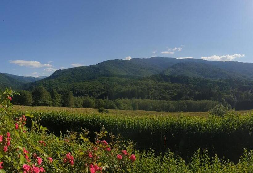 Пансион Valea Doamnei