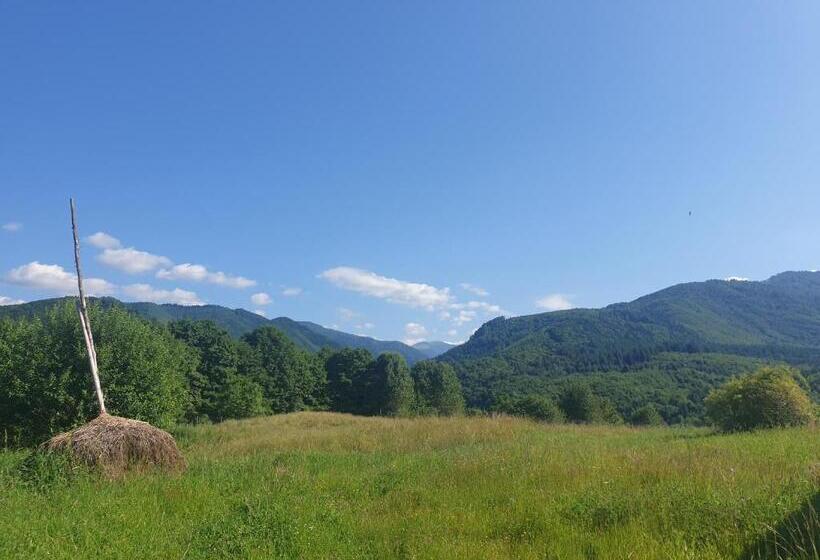 Пансион Valea Doamnei