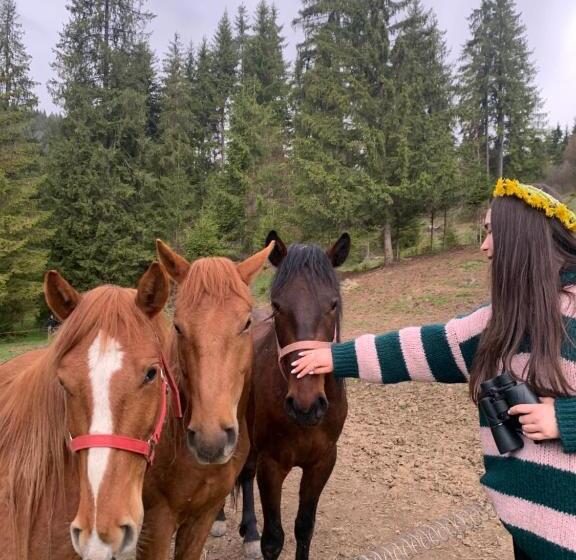 Пансион Villa Montana Borsec