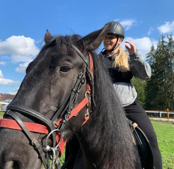 Пансион Villa Montana Borsec