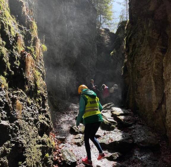 Пансион Villa Montana Borsec