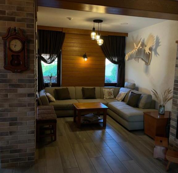 פנסיון Villa Montana Borsec