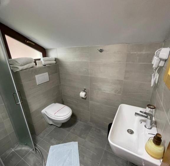 פנסיון Villa Montana Borsec