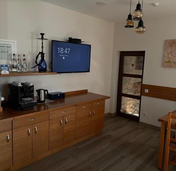 פנסיון Villa Montana Borsec