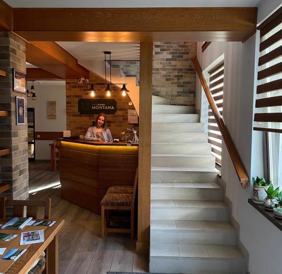 Пансион Villa Montana Borsec