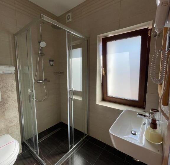 פנסיון Villa Montana Borsec