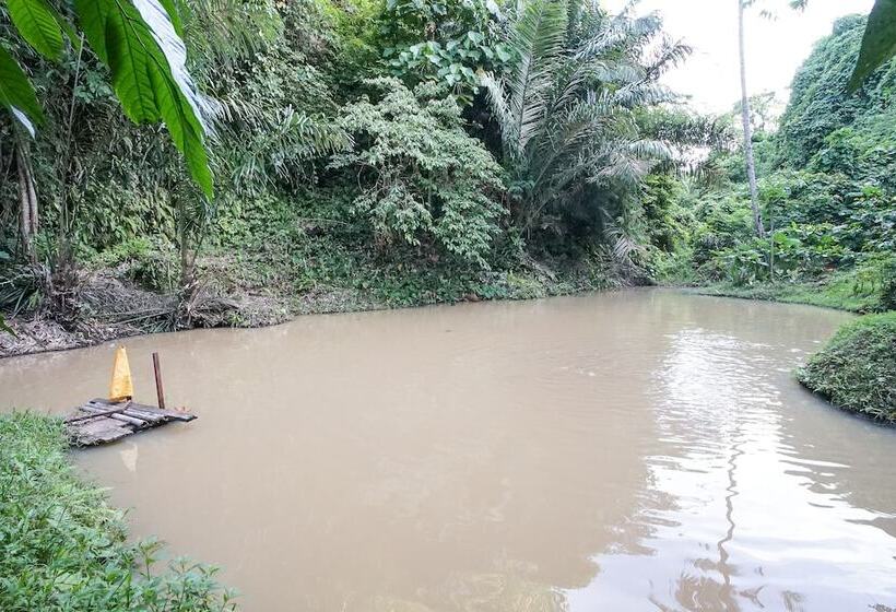 بنسيون Villa Robert