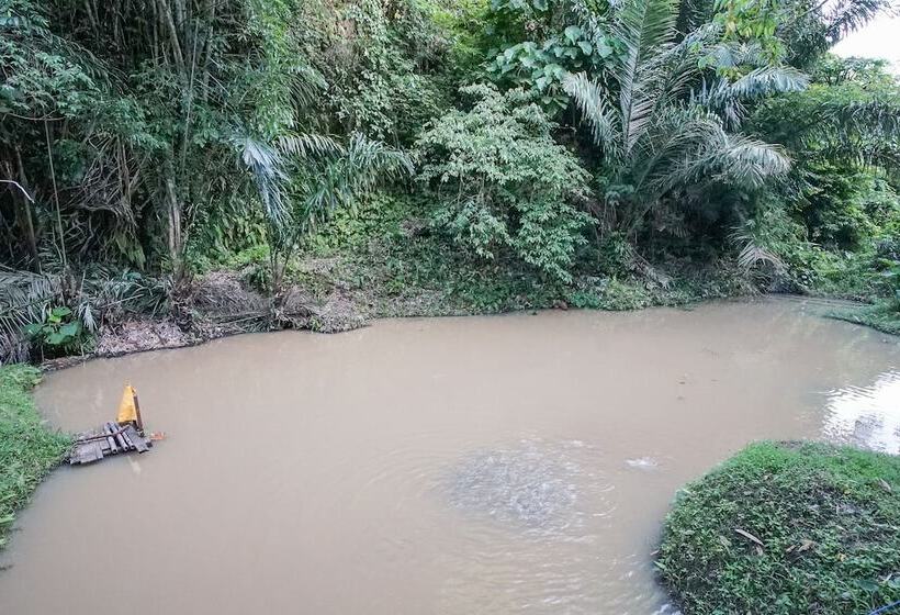 פנסיון Villa Robert