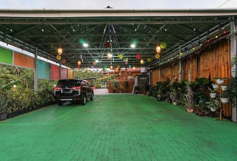 بنسيون Villa Robert