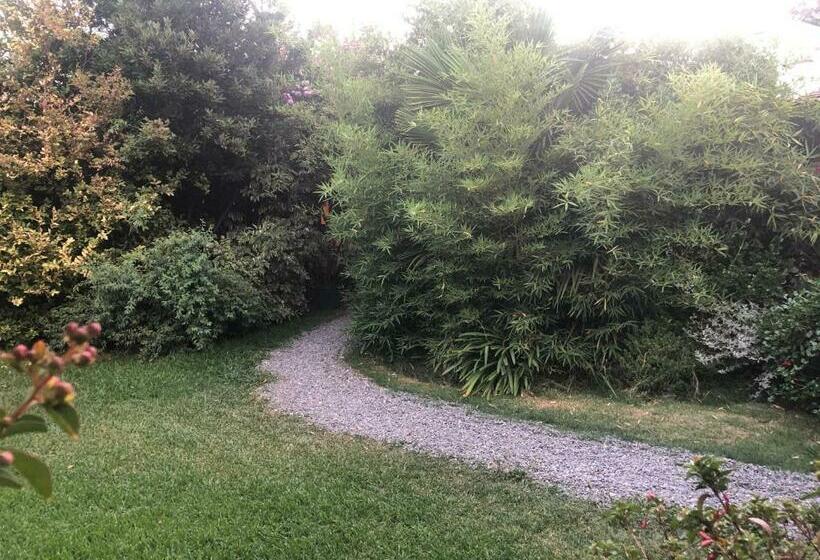 Pensión Y Residencial Aleros De Molina