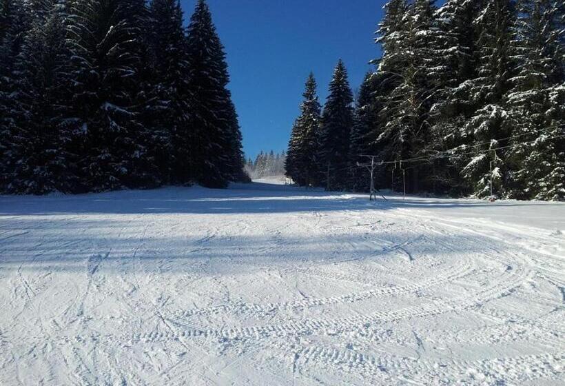 Пансион Penzion A Restaurace U Sousedů