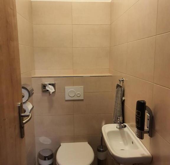 Пансион Penzion A Restaurace U Sousedů