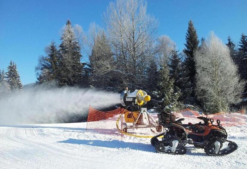 Пансион Penzion A Restaurace U Sousedů