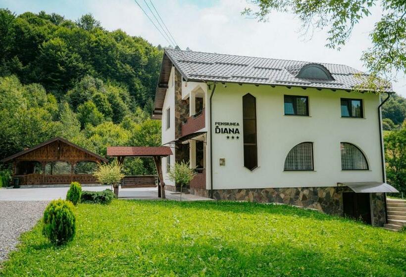 Pensiunea Diana