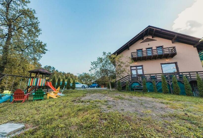 Pensiunea Valea Cu Salcâmi