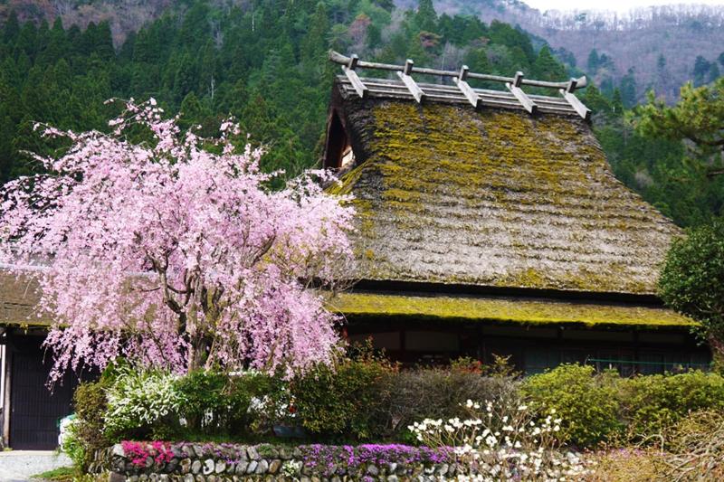 Ryokan Chinsenrou