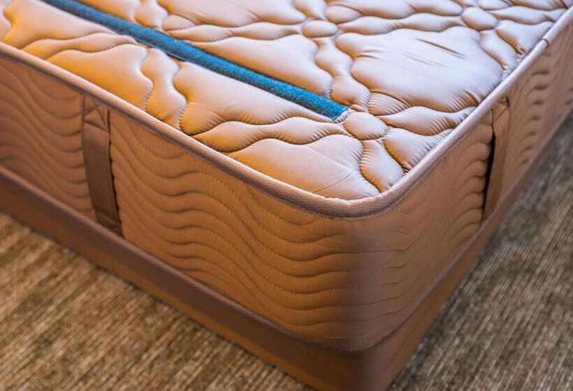 Super Hotel Echizen Takefu