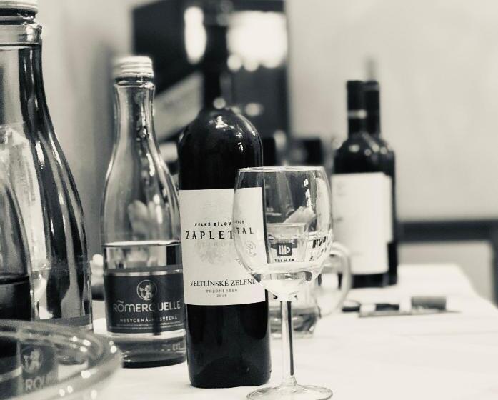 Wellness Hotel Zámeček