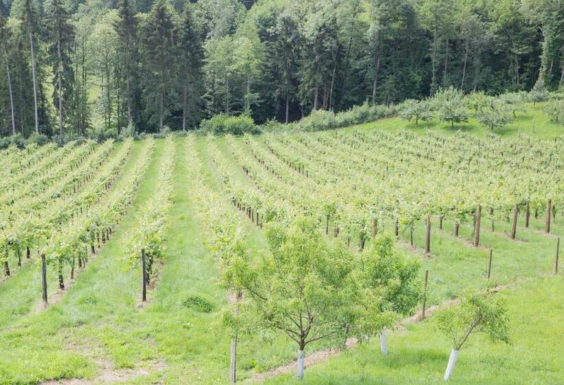 فندق صغير Buschenschank Ofnerpeter