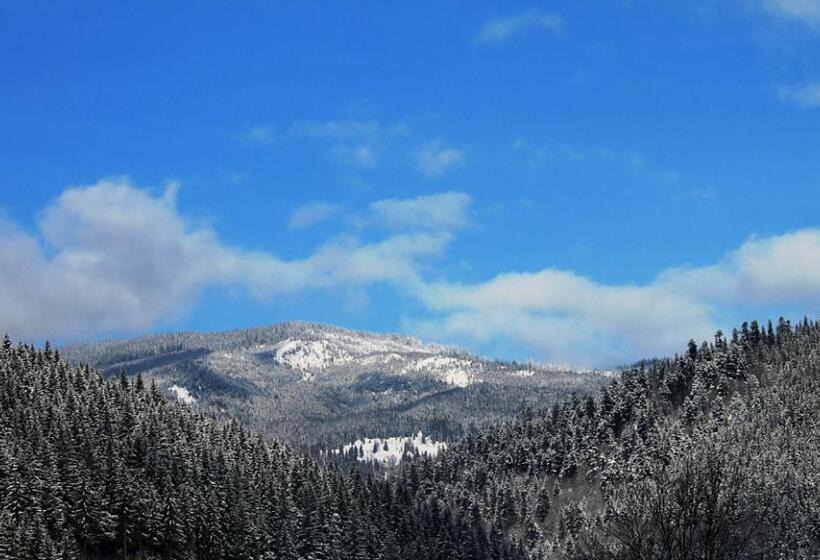 فندق صغير Dzherelo