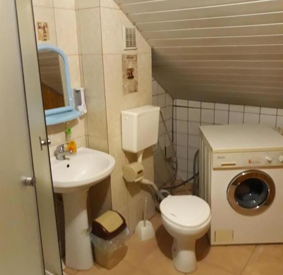 فندق صغير Dzherelo