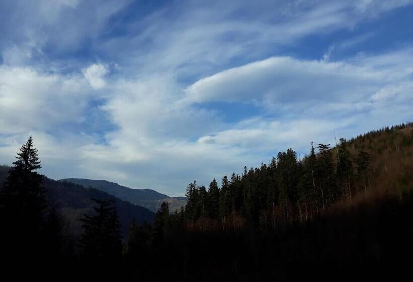 فندق صغير Dzherelo