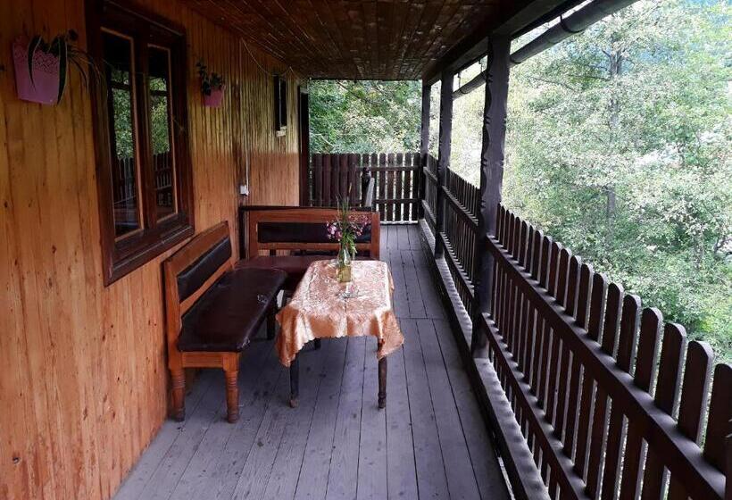 فندق صغير Dzherelo