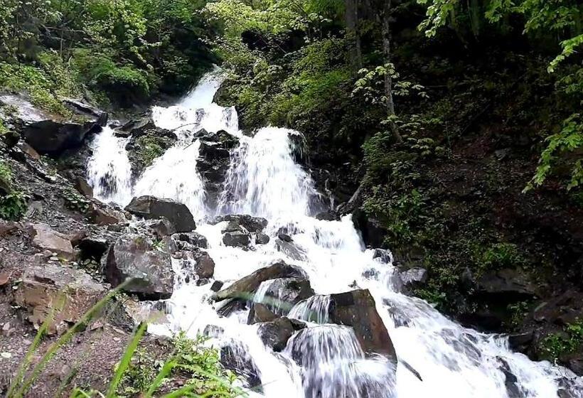 فندق صغير Dzherelo