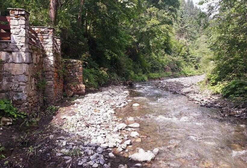 فندق صغير Dzherelo