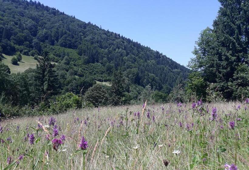 فندق صغير Dzherelo