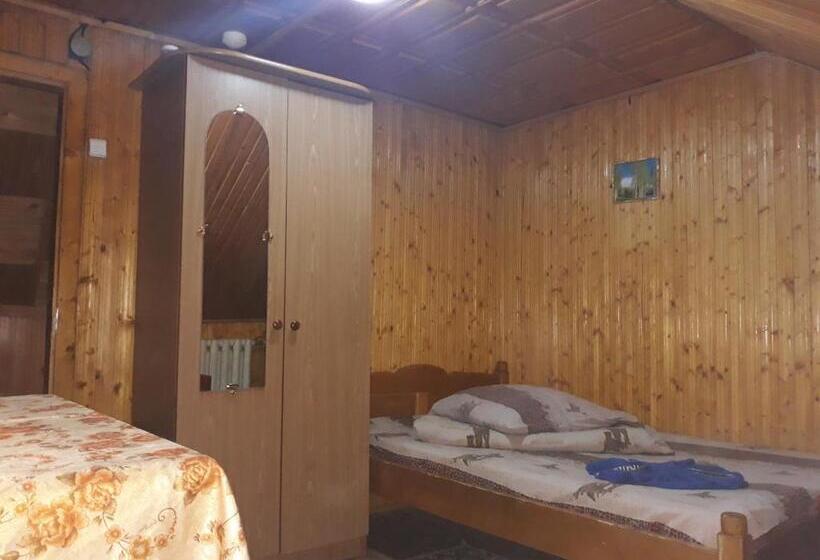 فندق صغير Dzherelo