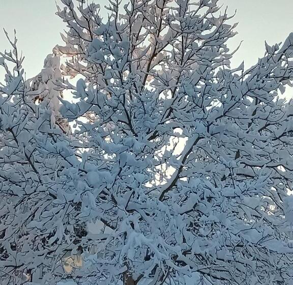 Общежитие Gasthaus Zur Moosmühle